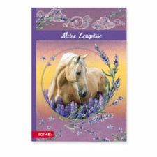 Zeugnismappe Roth Motiv --