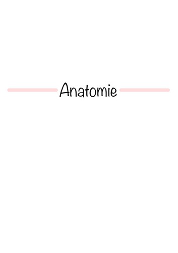 Lernzettel anatomie - lernzettel,